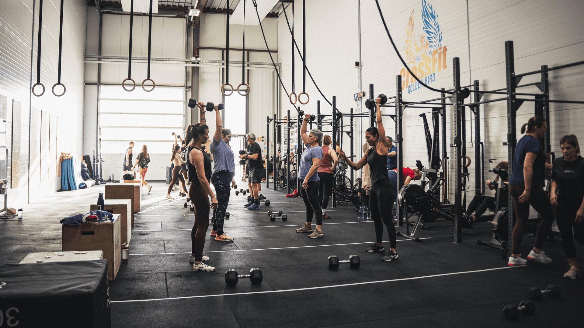 CrossFit chez CrossFit Golden Bird à Epagny