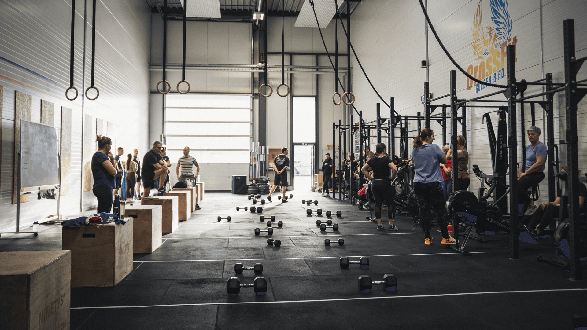 Gymnastique chez CrossFit Golden Bird à Epagny
